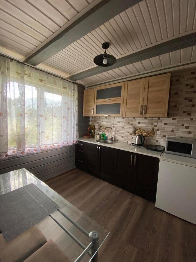 Кришталеві Вершини Villa Ворохта Екстериор снимка